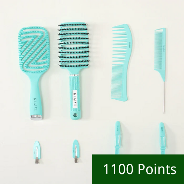 1100 Points |  Klaiyi Hair Care Comb Anti Static Coarse Fine Toothed Tail Pick Combs Set