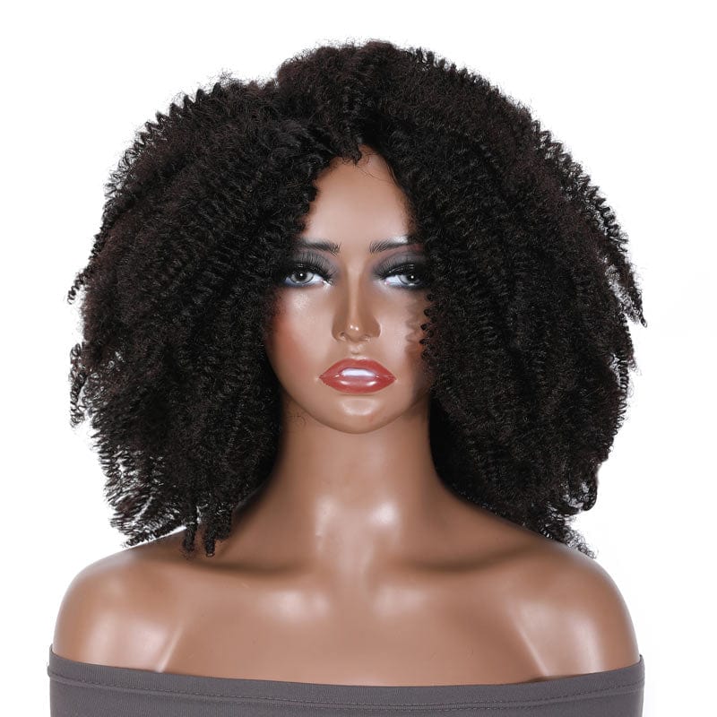 Klaiyi Natural Afro Kinky Curly Glueless Human Hair Wig Machine Made A ...